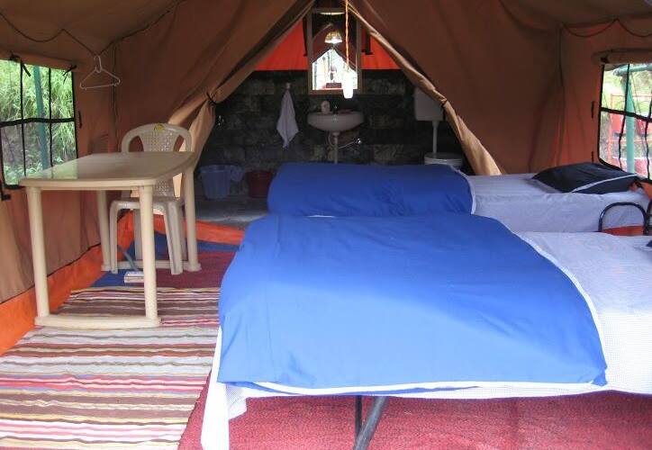 TG Stays Near Chail, Chail 3